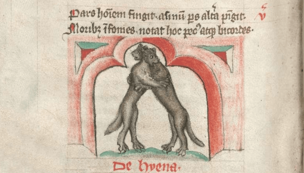 Sodoma e il Medioevo